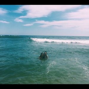 Meet your Posher, Pippin